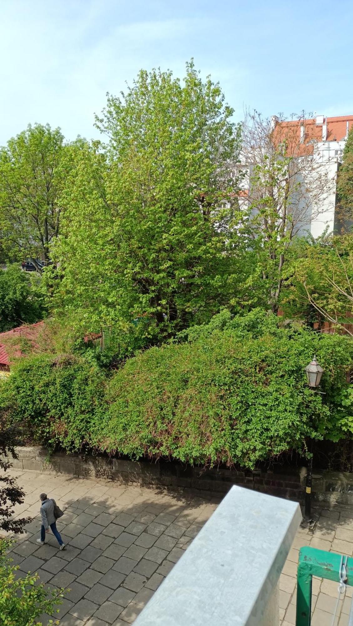 Kotlarska Apartment Wroclaw Ngoại thất bức ảnh
